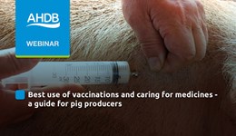 A guide for pig producers: Bets use of vaccines and caring for medicines